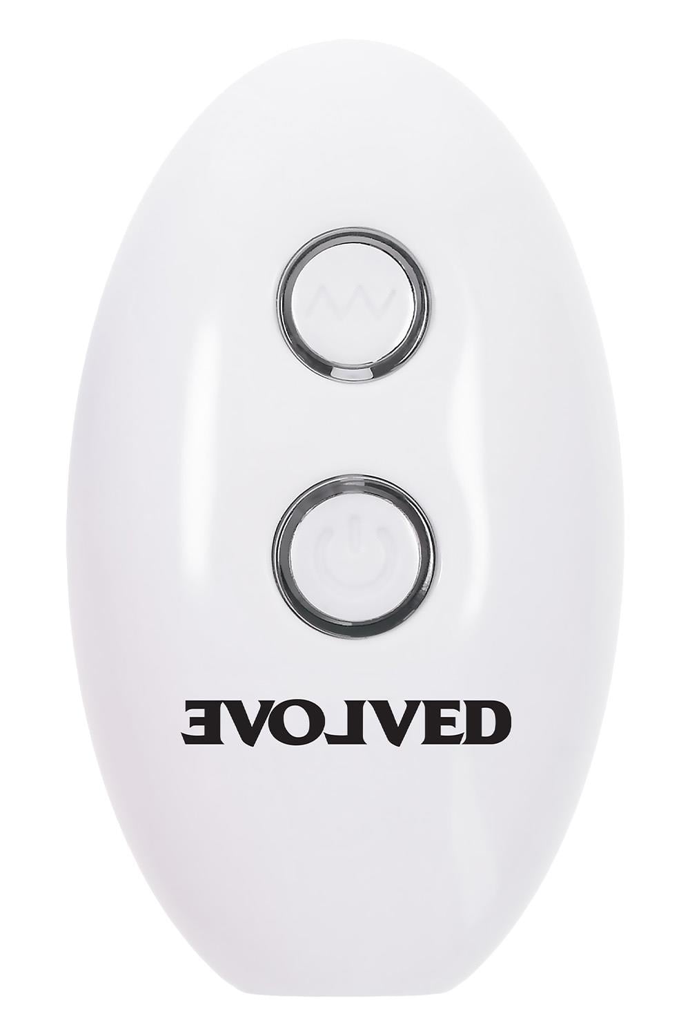 EVOLVED PARADISE PANTY